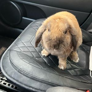 Meet your Posher, Aubrey